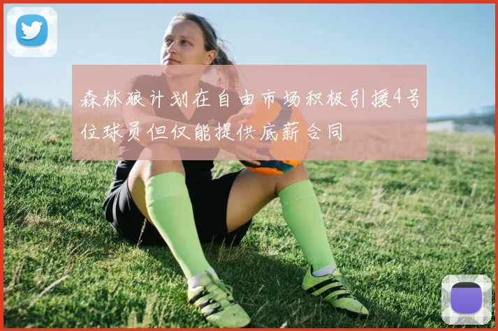 森林狼计划在自由市场积极引援4号位球员但仅能提供底薪合同