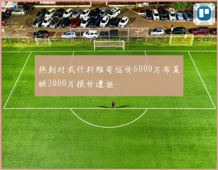 热刺对武什科维奇估价6000万布莱顿3000万报价遭拒
