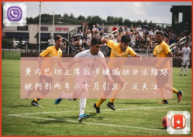 费内巴切主席因涉嫌煽动非法赌球被判刑两年六个月引发广泛关注