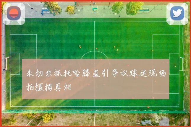 米切尔抓托哈膝盖引争议球迷现场拍摄揭真相